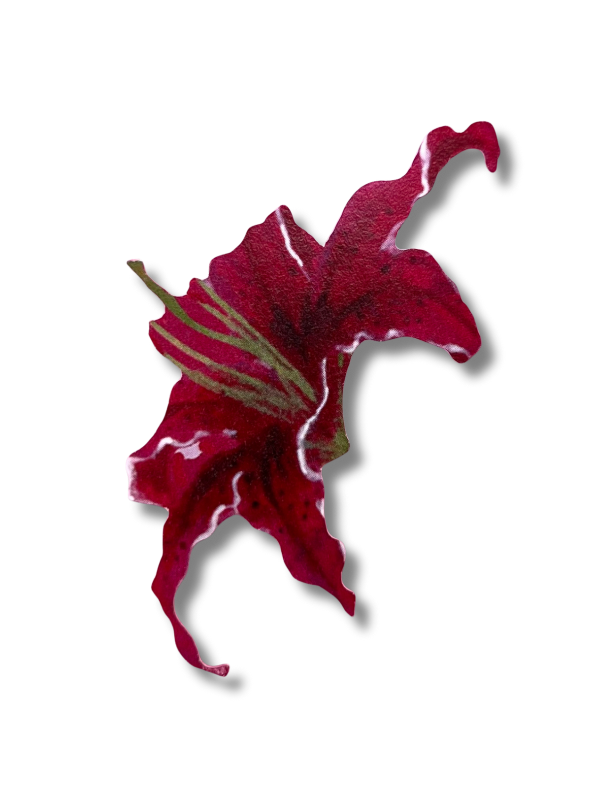 Single Red Lily Sticker