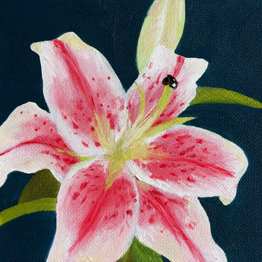 Lily 01 PRINT