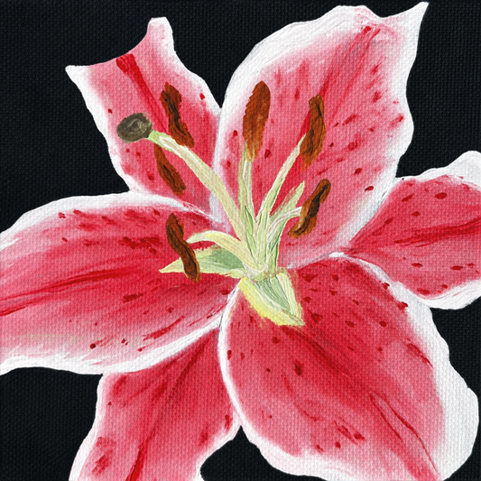 Lily 02 PRINT